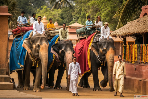 Elephant Village Jaipur Experience The Royal Connection