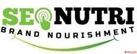 Explore SEONutri blogs for better insights