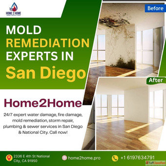 Mold Remediation Experts in San Diego Home2Home
