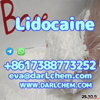 High Quality API Lidocaine powder