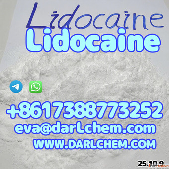 High Quality API Lidocaine powder