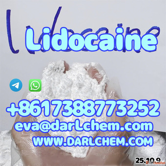 High Quality API Lidocaine powder