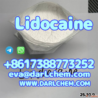High Quality API Lidocaine powder