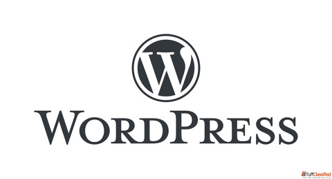 Wordpress Development Company in Delhi