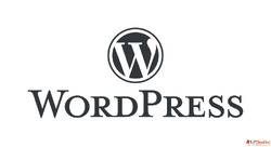 Wordpress Development Company in Delhi