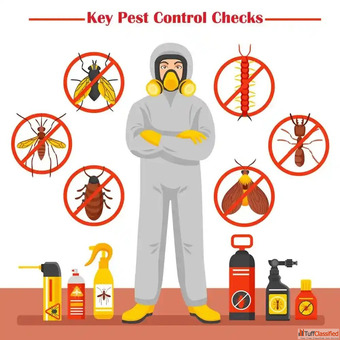 Essential Pest Control Checks Before Buying Your Dream Home
