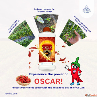 Best Fungicides for Agriculture to Maximize Crop Yield NACL