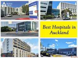 Best Hospitals in Auckland North Island New Zealand