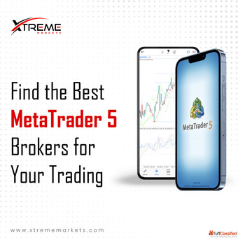 Find the Best MetaTrader 5 Brokers for Your Trading