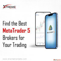 Find the Best MetaTrader 5 Brokers for Your Trading