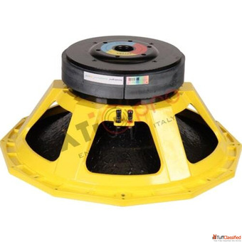 Professional 21 Inch DJ Speaker