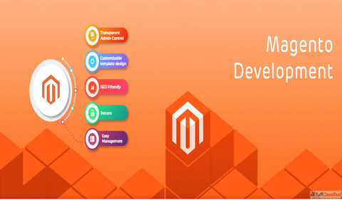 Reliable Magento Development Company in Ahmedabad