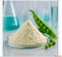 Unflavoured Pea Protein Powder Manufacturer