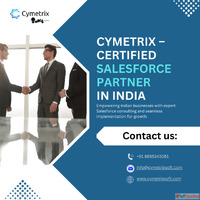 Top Salesforce Partner Consulting Implementation Experts