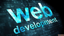 Professional Website Designing Development Company in Chandi...