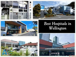 List of Best Hospitals in Wellington New Zealand