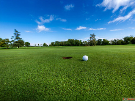 Top Pickleball Court in Delhi Ace Pickleball India