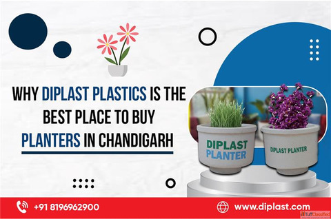 Buy Planters in Chandigarh