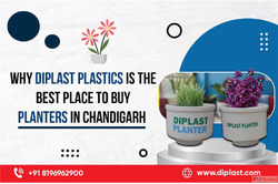 Buy Planters in Chandigarh