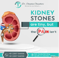 Advanced Kidney Stone Treatment in Mumbai by Dr. Chandan Cha...