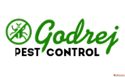 Pest Control Service in Faridabad