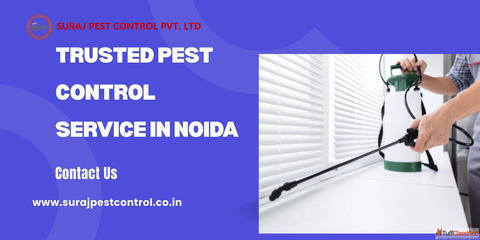 Trusted Pest Control Service in Noida
