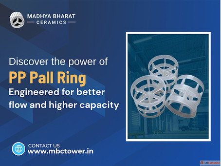 PP Pall Rings for Chemical Industrial Use Manufacturer Exporter
