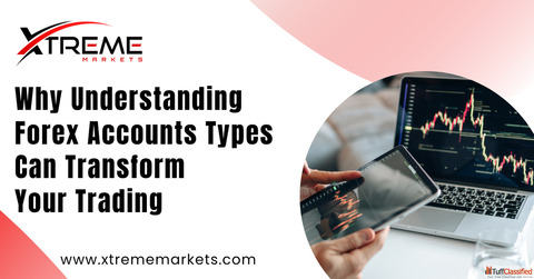 Why Understanding Forex Accounts Types Can Transform Your Trading