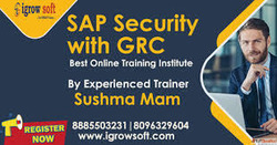 SAP Security and GRC Training Institute in Hyderabad Igrowso...