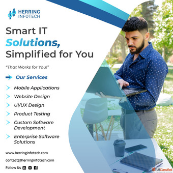 Professional Web Development Services Herring Infotech