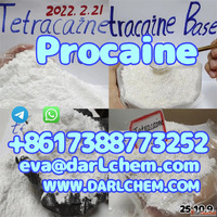 API Local Anaesthesia Procaine Powder