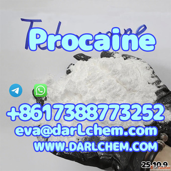 API Local Anaesthesia Procaine Powder