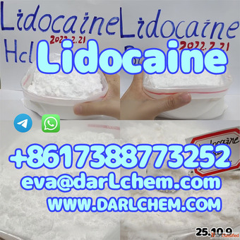 Factory Supply Lido-caine base hcl powder 99 Best Price Pure