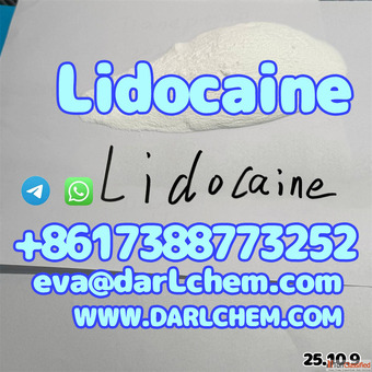Factory Supply Lido-caine base hcl powder 99 Best Price Pure