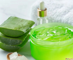 Aloe Vera Gel Suppliers in Jalgaon