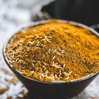 Best Cumin Seed Powder suppliers in Surat