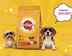 Find Perfect Dogs for Sale in Kochi Kerala