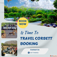Corbett Booking Your Gateway to a Seamless Wildlife Experien...
