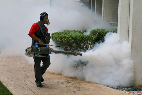 Best Pest Control Noida Services - Compare Charges Book Experts Online