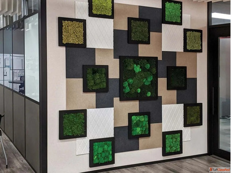 Transform Your Space with Decorative Acoustic Panels