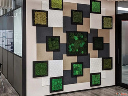 Transform Your Space with Decorative Acoustic Panels
