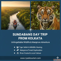 Sundarbans day trip from Kolkata