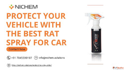 Protect Your Vehicle with the Best Rat Spray for Car