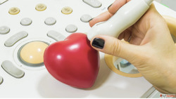Special Echocardiography Stress Echo Treatment Mumbai