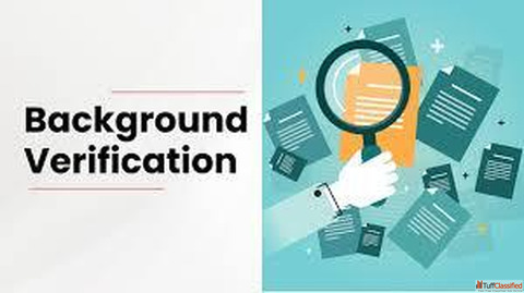 Background Verification Services