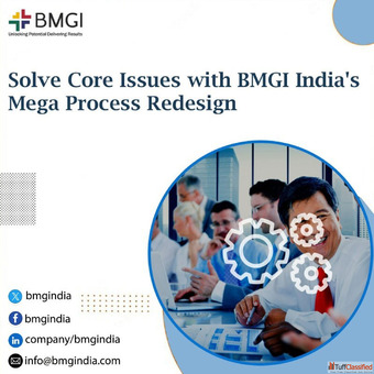 Solve Core Issues with BMGI India's Mega Process Redesign