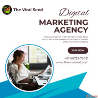 Best Experienced Digital Marketing Services in Tricity
