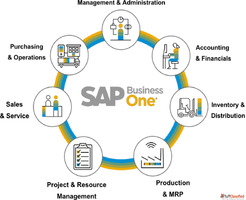 Drive Growth with SAP Business One ERP Software Solutions