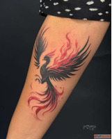 Kingfisher Tattoo Realistic Color Tattoo Tattoo Studio in Ch...