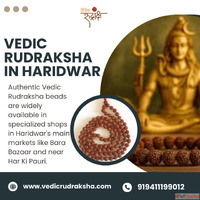 Authentic Vedic Rudraksha Online White Howlite Mala Necklace...